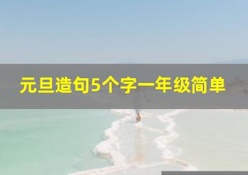 元旦造句5个字一年级简单