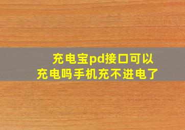 充电宝pd接口可以充电吗手机充不进电了