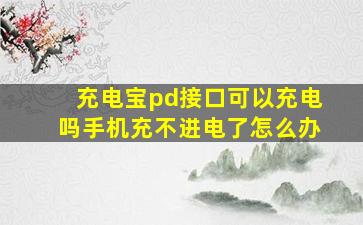 充电宝pd接口可以充电吗手机充不进电了怎么办