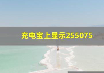 充电宝上显示255075