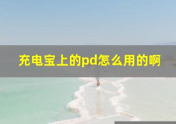 充电宝上的pd怎么用的啊