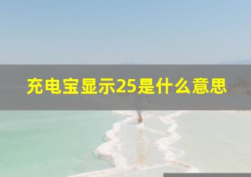 充电宝显示25是什么意思