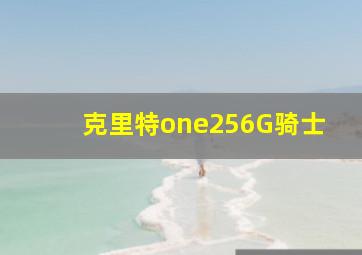 克里特one256G骑士