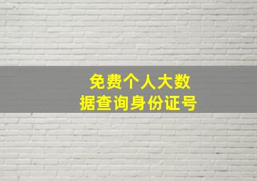 免费个人大数据查询身份证号