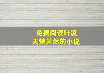 免费阅读叶凌天楚萧然的小说