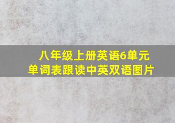 八年级上册英语6单元单词表跟读中英双语图片