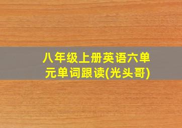 八年级上册英语六单元单词跟读(光头哥)