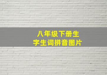 八年级下册生字生词拼音图片