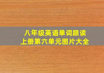 八年级英语单词跟读上册第六单元图片大全