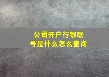 公司开户行银联号是什么怎么查询