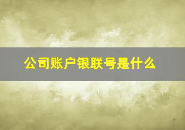 公司账户银联号是什么