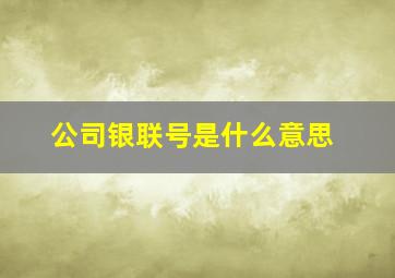 公司银联号是什么意思