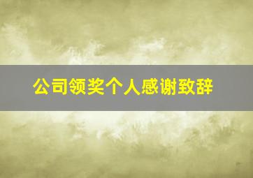 公司领奖个人感谢致辞