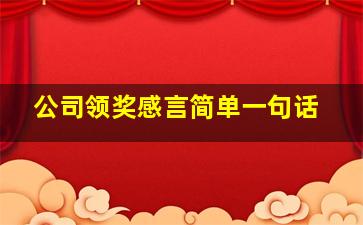 公司领奖感言简单一句话