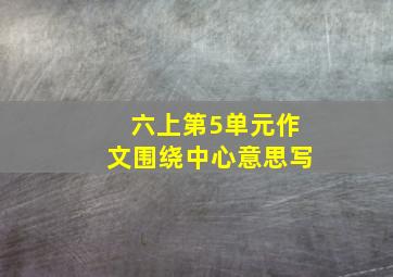 六上第5单元作文围绕中心意思写