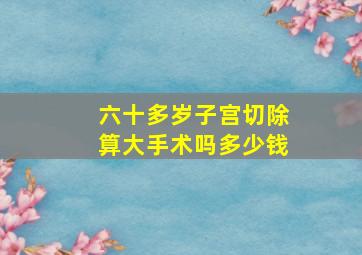 六十多岁子宫切除算大手术吗多少钱