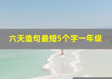 六天造句最短5个字一年级