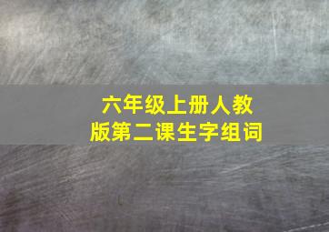 六年级上册人教版第二课生字组词