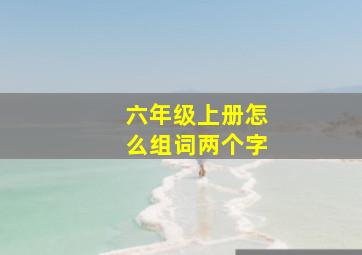 六年级上册怎么组词两个字