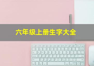 六年级上册生字大全