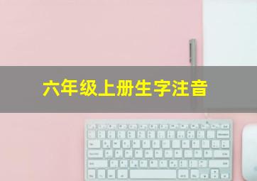 六年级上册生字注音