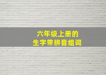 六年级上册的生字带拼音组词