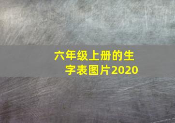 六年级上册的生字表图片2020