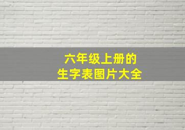 六年级上册的生字表图片大全