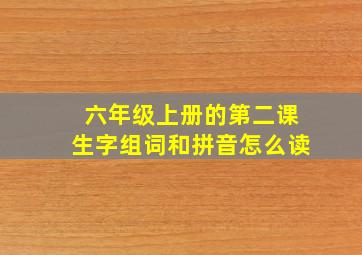 六年级上册的第二课生字组词和拼音怎么读