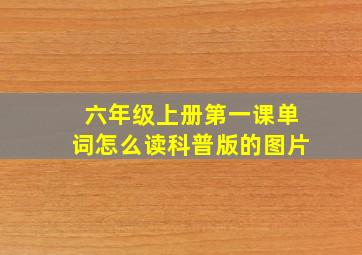 六年级上册第一课单词怎么读科普版的图片