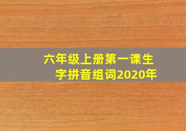 六年级上册第一课生字拼音组词2020年