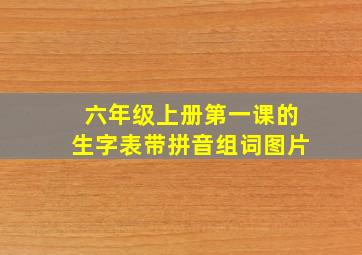 六年级上册第一课的生字表带拼音组词图片