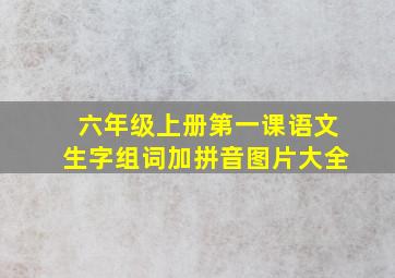 六年级上册第一课语文生字组词加拼音图片大全