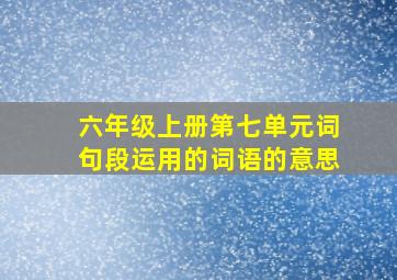 六年级上册第七单元词句段运用的词语的意思