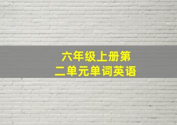 六年级上册第二单元单词英语