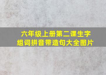 六年级上册第二课生字组词拼音带造句大全图片