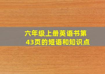 六年级上册英语书第43页的短语和知识点