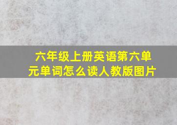 六年级上册英语第六单元单词怎么读人教版图片