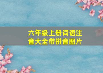 六年级上册词语注音大全带拼音图片