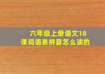 六年级上册语文18课词语表拼音怎么读的