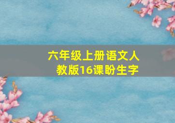 六年级上册语文人教版16课盼生字