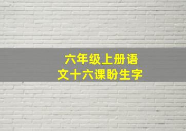 六年级上册语文十六课盼生字