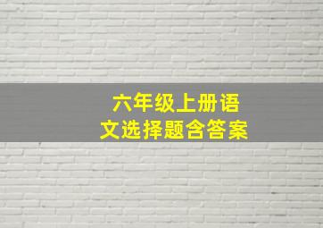 六年级上册语文选择题含答案