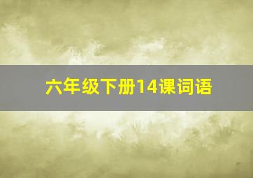 六年级下册14课词语