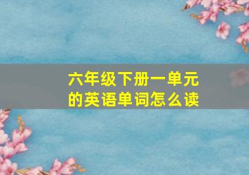 六年级下册一单元的英语单词怎么读