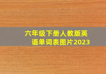 六年级下册人教版英语单词表图片2023