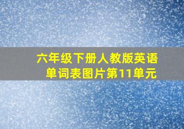 六年级下册人教版英语单词表图片第11单元