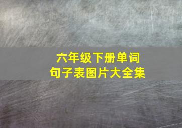 六年级下册单词句子表图片大全集