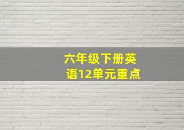 六年级下册英语12单元重点