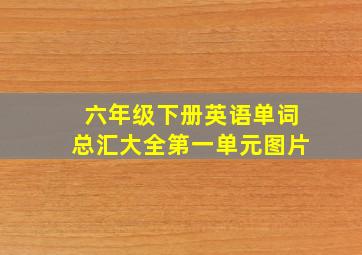 六年级下册英语单词总汇大全第一单元图片